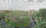 leipzig zoo-01_07_2011_gondwanaland_134